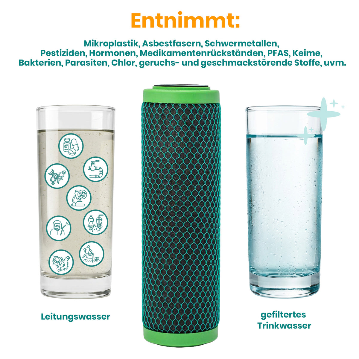 Filtereinsatz Carbonit GFP Premium Entnahme