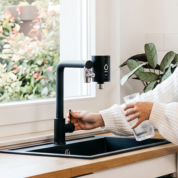 Hand füllt Glas Wasser an schwarzem Armaturhahn mit aufgestecktem alb Wasserhahnfilter in moderner Küche mit Zimmerpflanze
